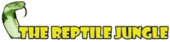 THE REPTILE JUNGLE