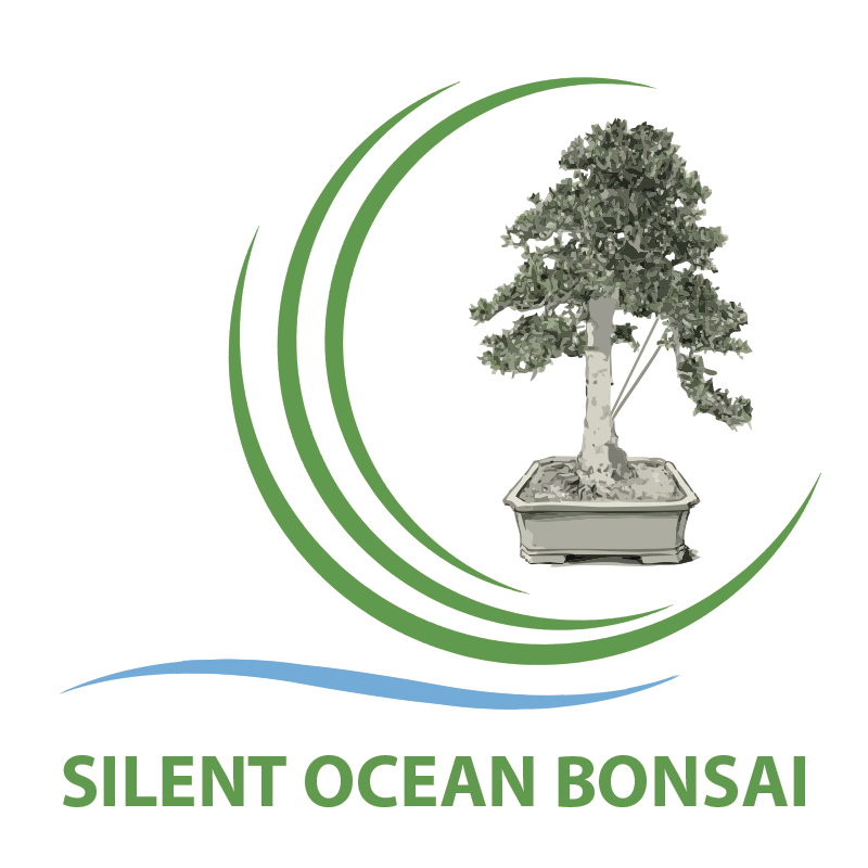 SILENT OCEAN BONSAI LTD